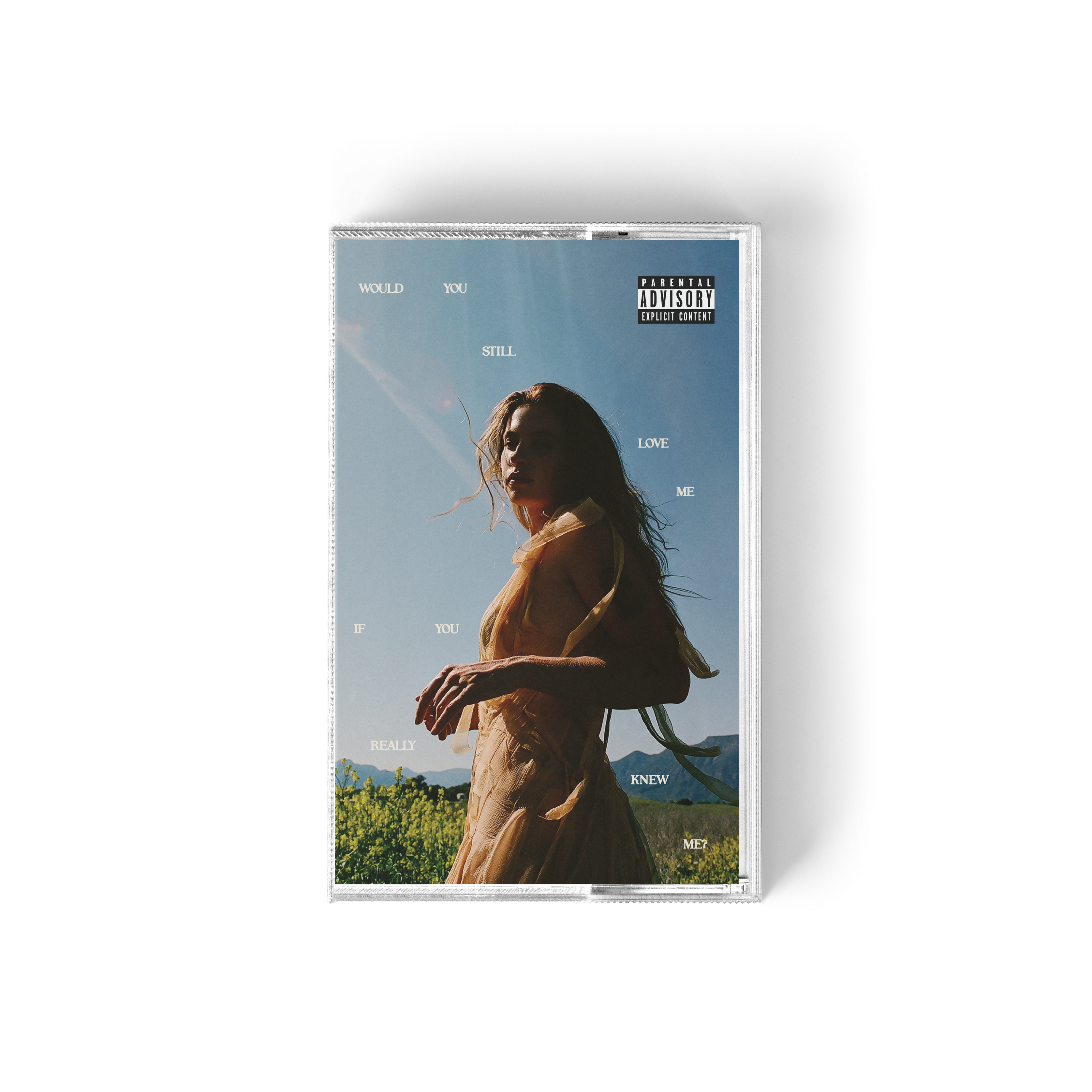 Fletcher Would You Still Love Me If You Really Knew Me?  Limited Edition Cassette 411419
